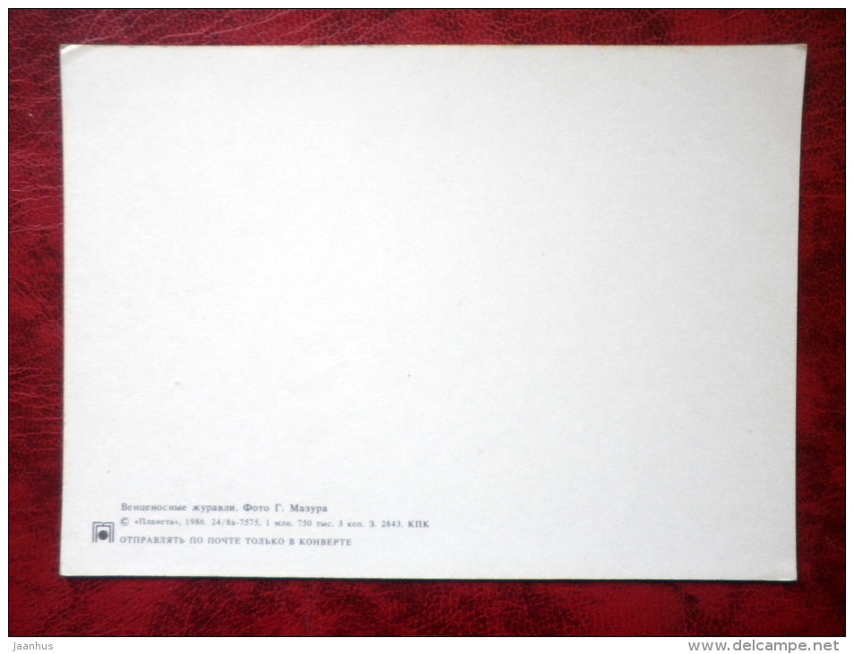 Black Crowned Crane - Balearica pavonina - birds - 1986 - Russia - USSR - unused - JH Postcards