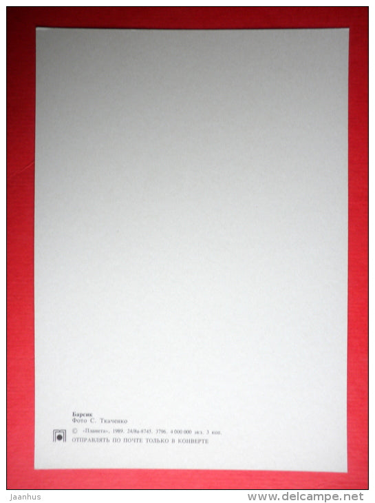 cat Barsik - 1989 - Russia USSR - unused - JH Postcards