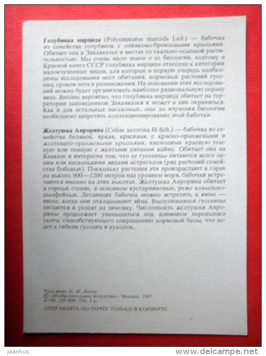 The Greek Clouded Butterfly , Colias aurorina - Polyommatus marcida - insects - 1987 - Russia USSR - unused - JH Postcards