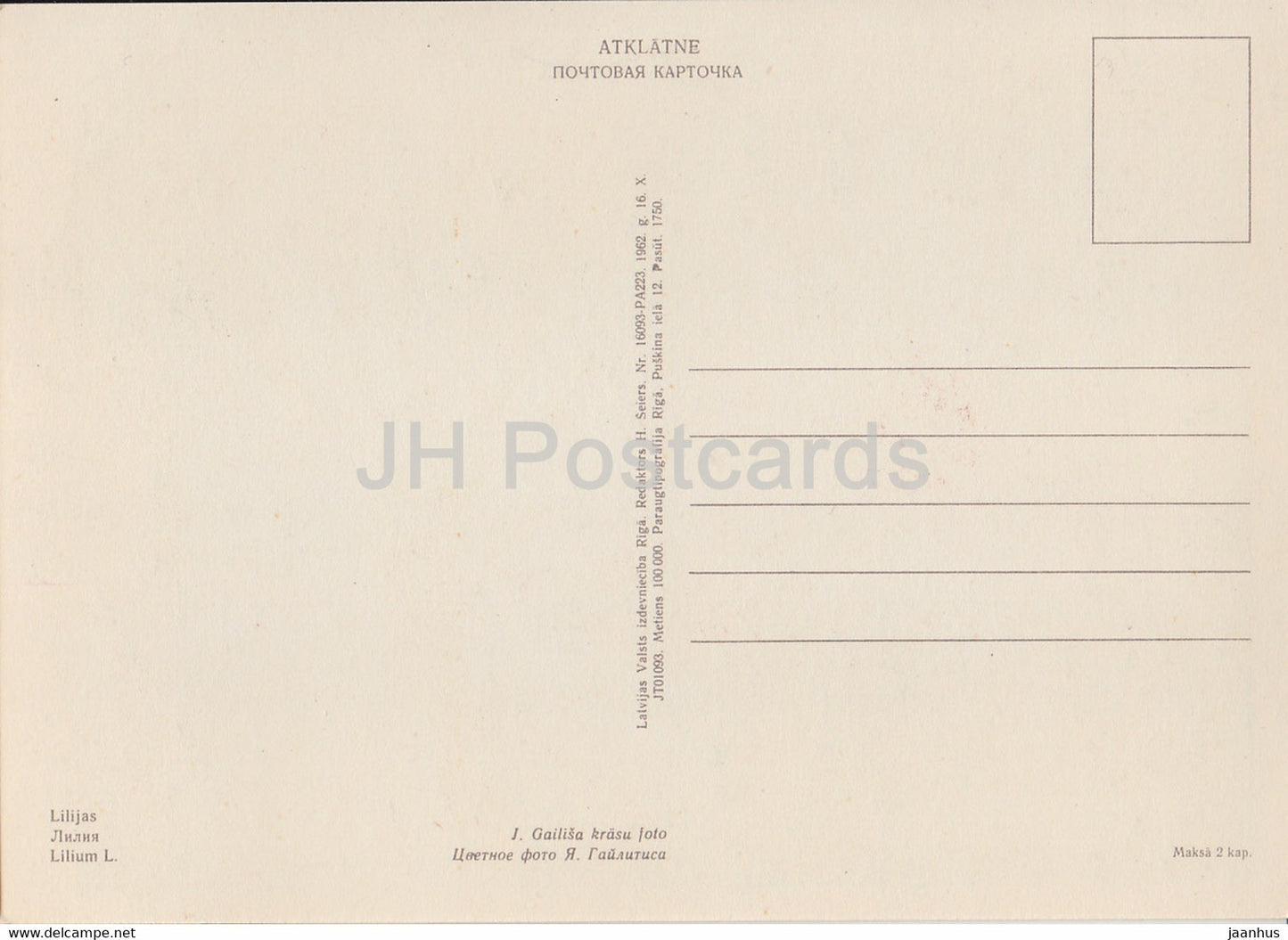 Lilie - Lilium - Blumen - Pflanzen - 1962 - Lettland UdSSR - unbenutzt