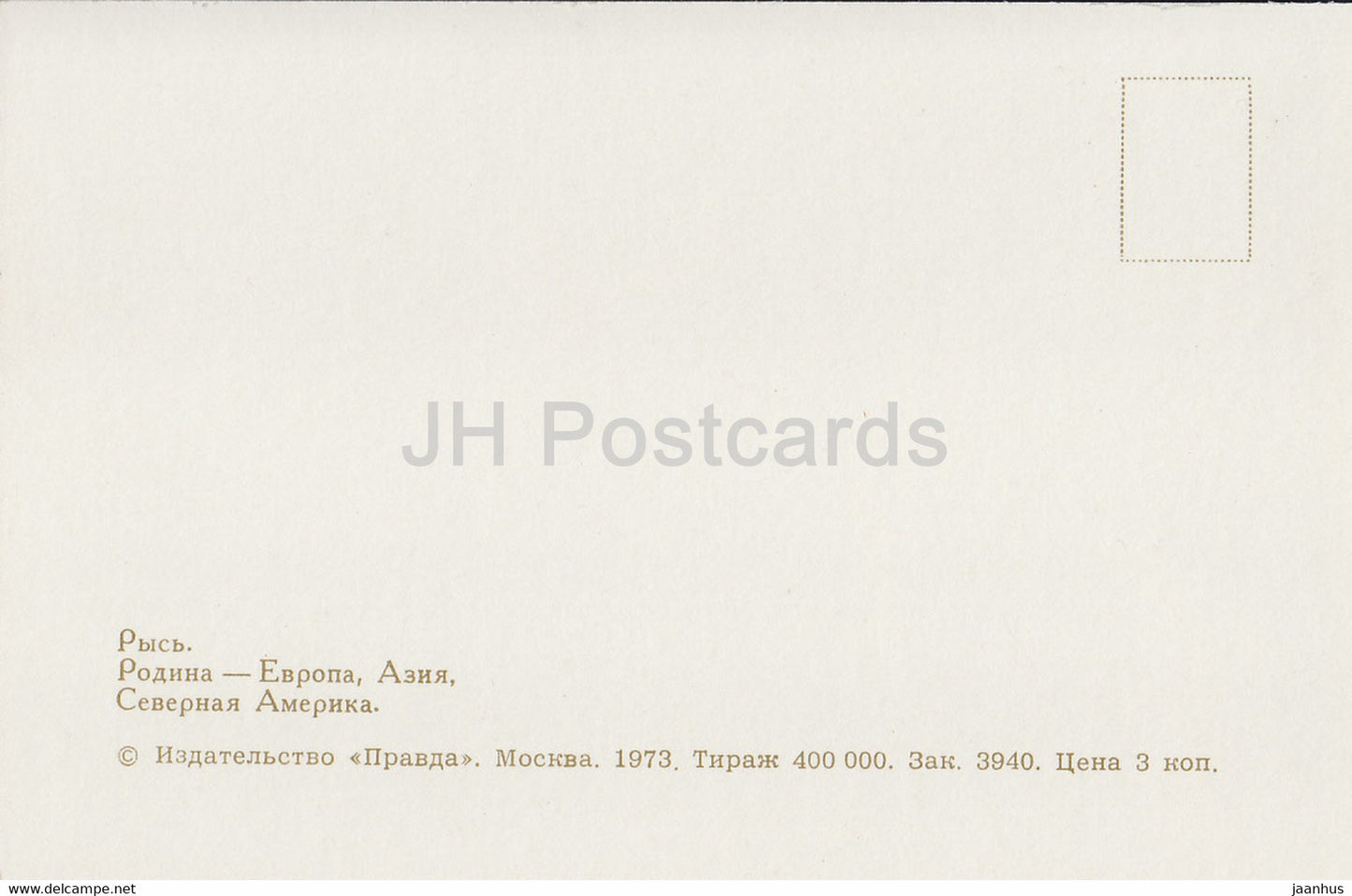 Eurasian Lynx - Lynx lynx - Moscow Zoo - animals - 1973 - Russia USSR - unused