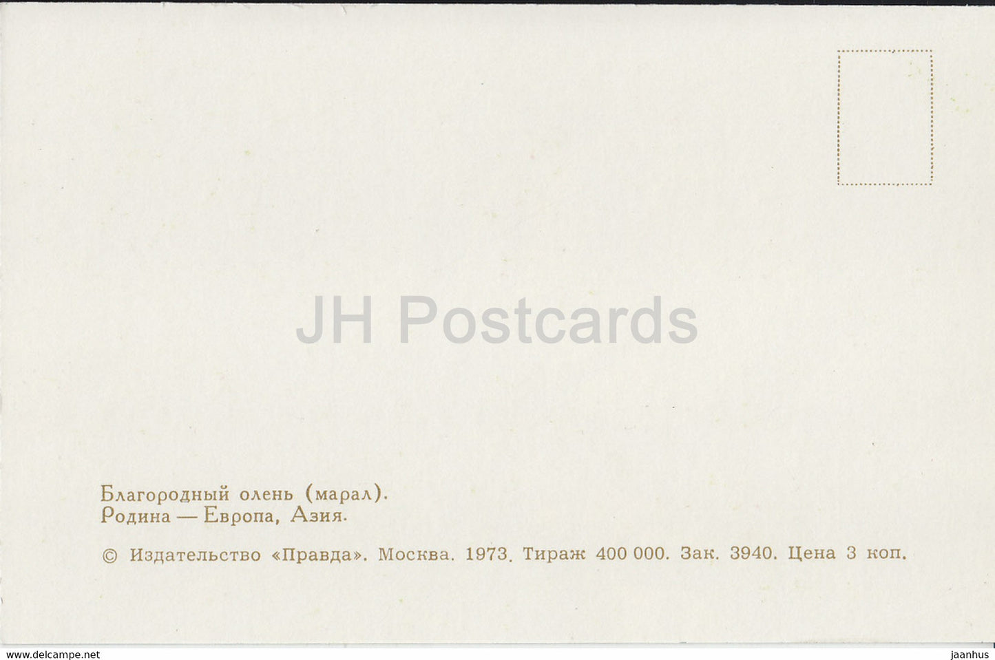 Cerf élaphe - Cervus elaphus - Zoo de Moscou - animaux - 1973 - Russie URSS - inutilisé