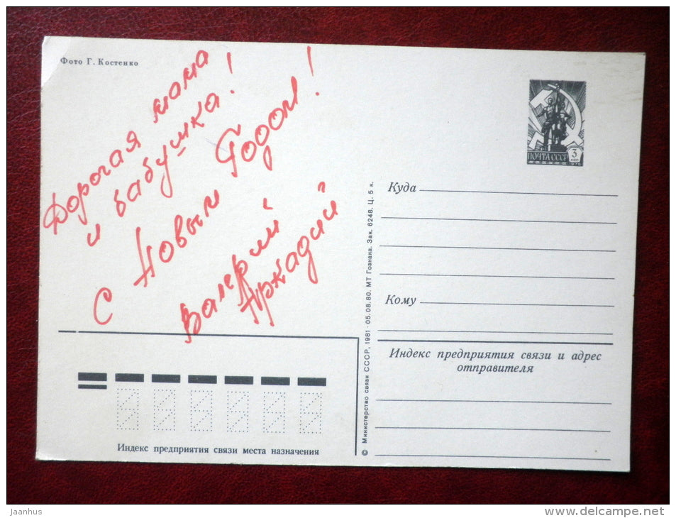 Greeting Card - daisies - flower basket - flowers - 1981 - Russia USSR - unused - JH Postcards