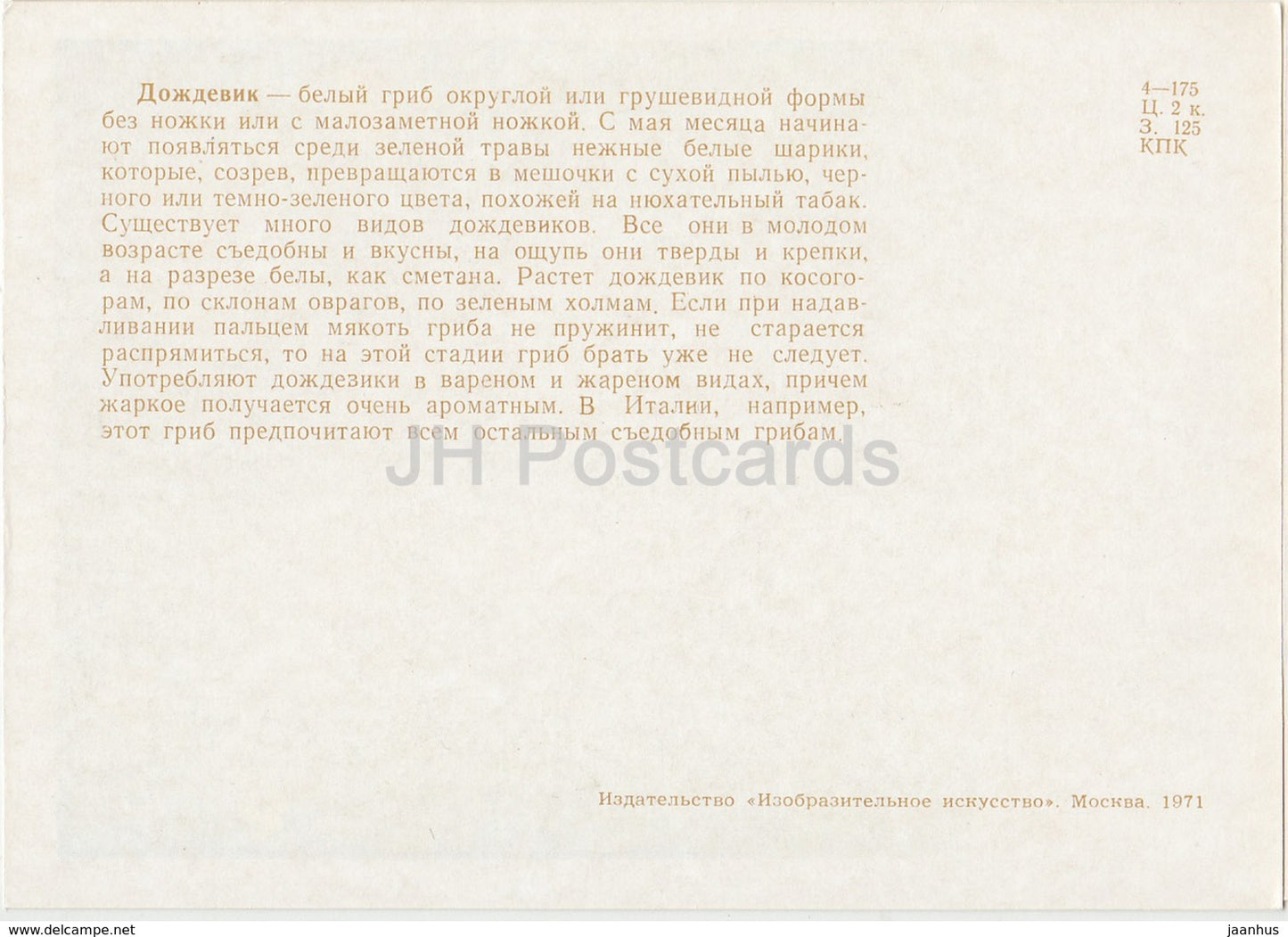 Puffball - Lycoperdon - champignons - illustration - 1971 - Russie URSS - inutilisé