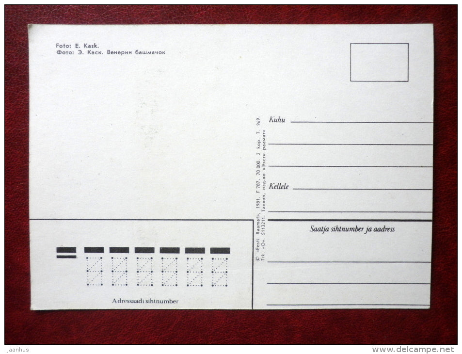 Greeting card - Lady's slipper - orchid - flowers - 1981 - Estonia USSR - unused - JH Postcards