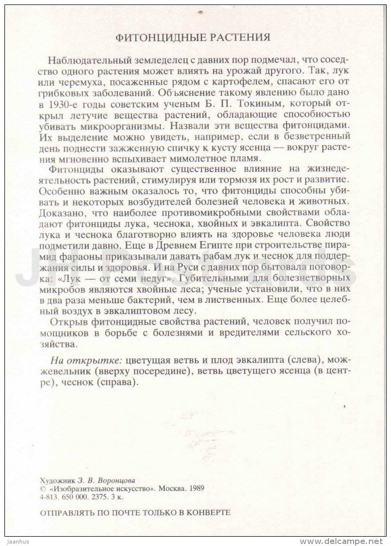 garlic - fraxinella - juniper - eucalyptus - Good Assistants - Amazing Plants - 1989 - Russia USSR - unused - JH Postcards