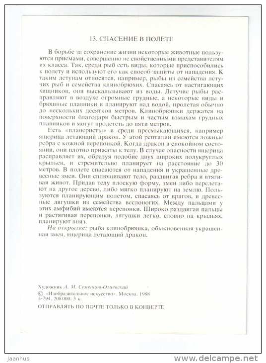 Flying Dragon - snake - Common hatchetfish - Animals defend themselves - 1988 - Russia USSR - unused - JH Postcards