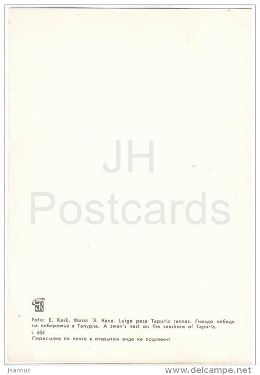 Lahemaa National Park - 1 - A swan`s nest on the seashore of Tapuria - birds - Estonia USSR - 1978 - unused - JH Postcards
