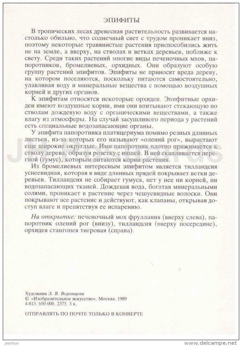 epiphytic liverworts - Epiphytes - Amazing Plants - 1989 - Russia USSR - unused - JH Postcards