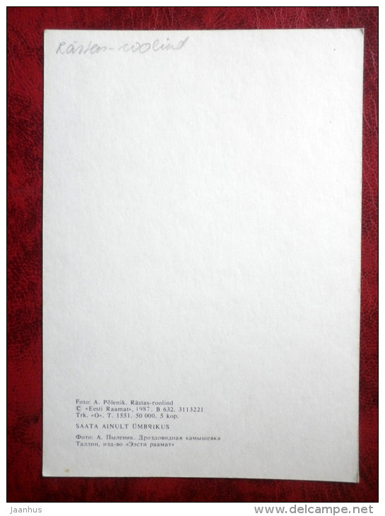 Great Reed Warbler - Acrocephalus arundinaceus - birds - 1987 - Estonia - USSR - used - JH Postcards