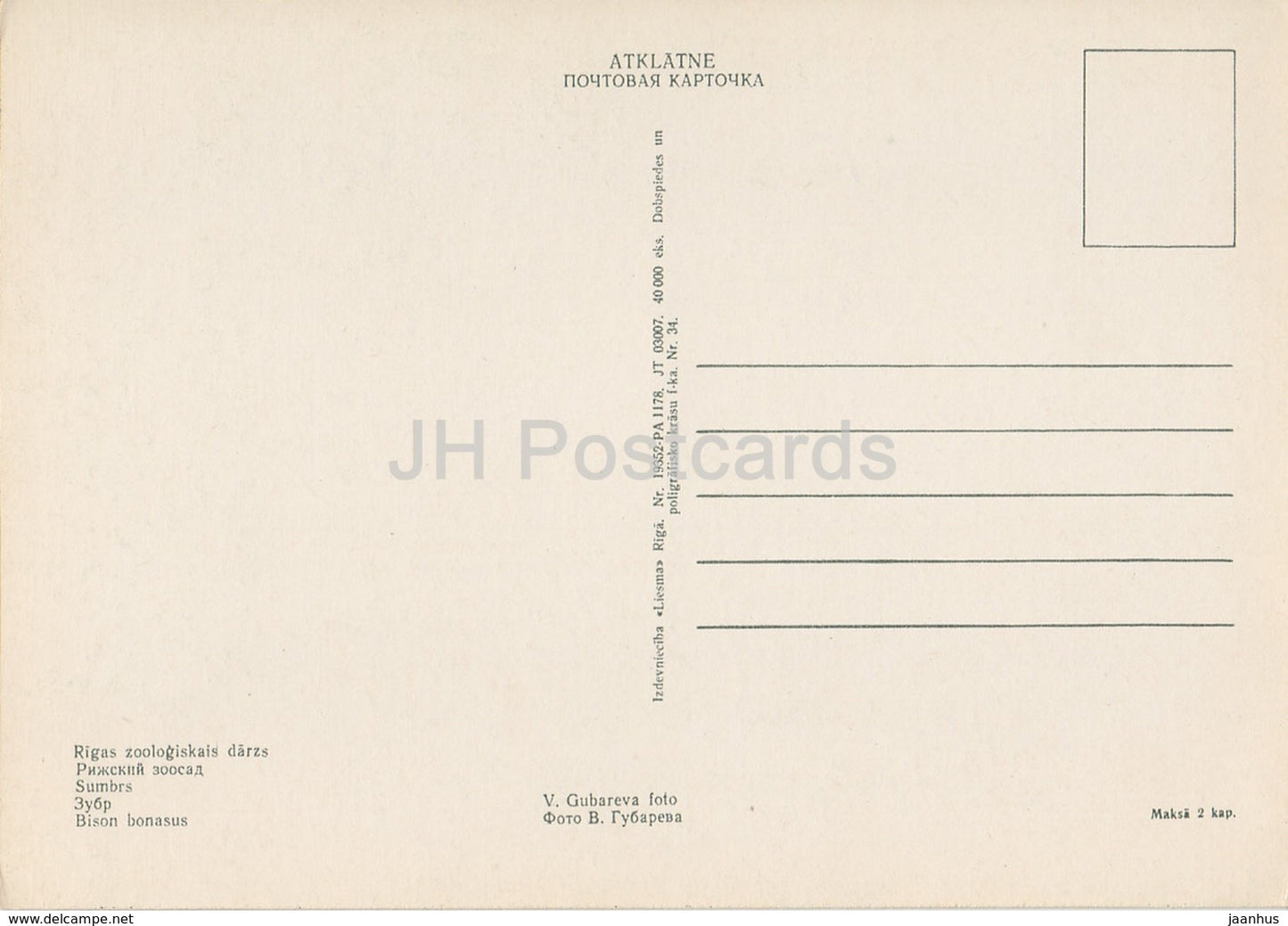 European bison - Bison bonasus - Riga Zoo - old postcard - Latvia USSR - unused