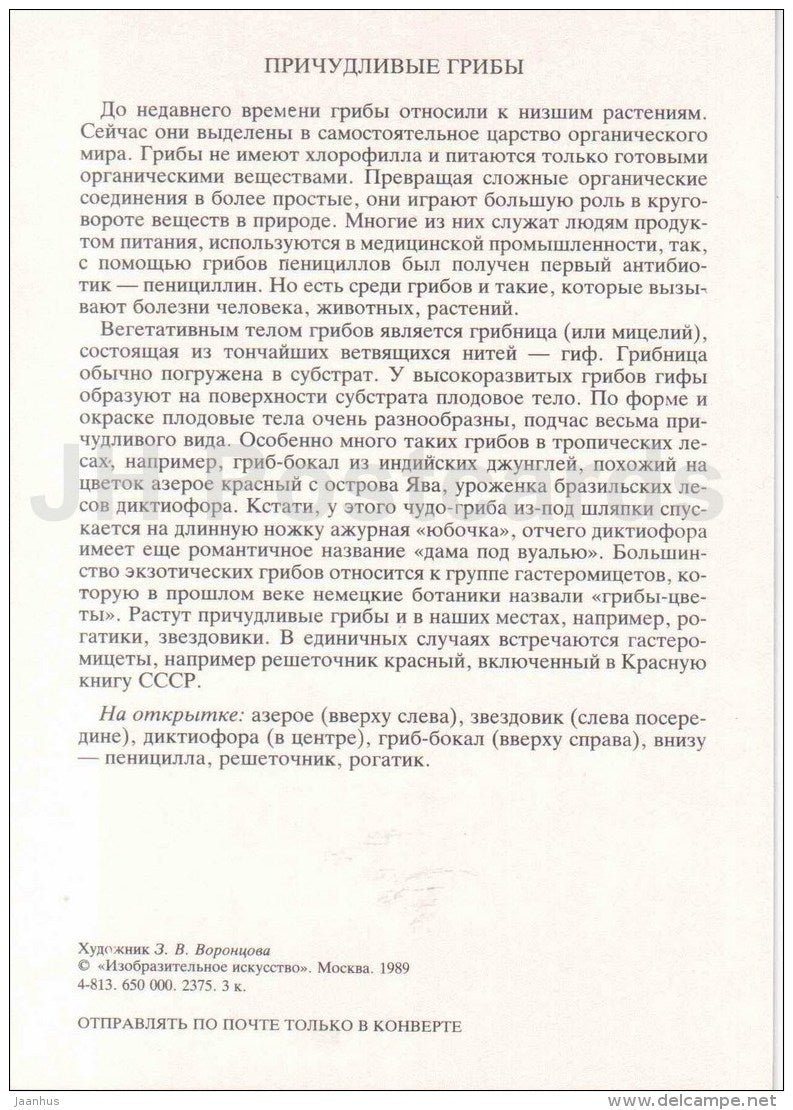 Ramaria stricta - penicillum fungi - fungus Geastrum - Mushrooms - Fowers - Amazing Plants - 1989 - Russia USSR - unused - JH Postcards