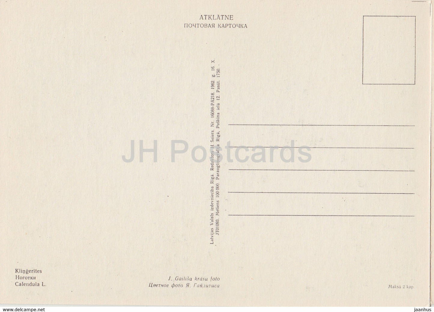 Souci de pot - Calendula - fleurs - plantes - 1962 - Lettonie URSS - inutilisé