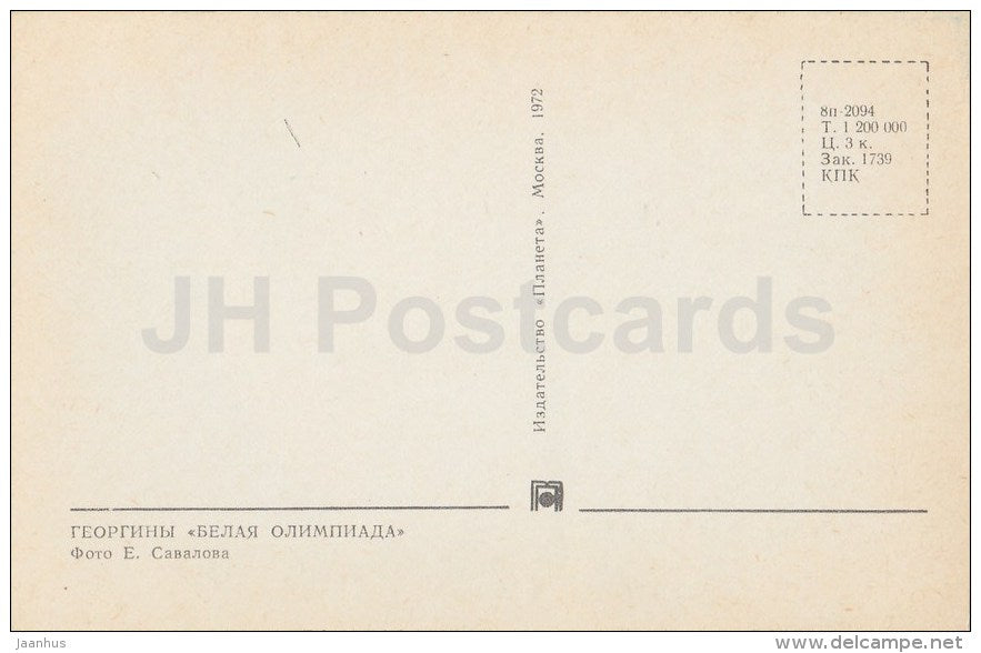 dahlia White Olympia - flowers - 1972 - Russia USSR - unused - JH Postcards