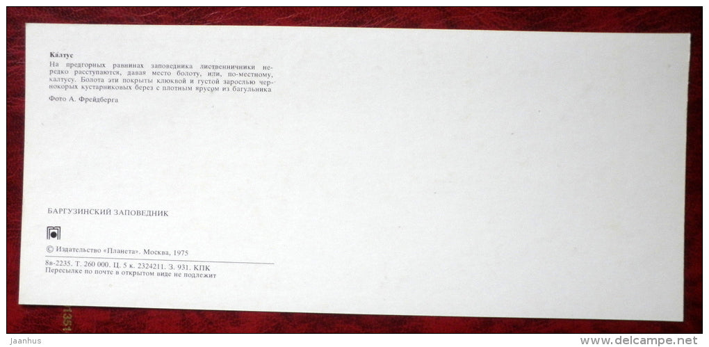 Kaltus - plants - Barguzinsky Nature Reserve - near lake Baikal - 1975 - Russia USSR - unused - JH Postcards