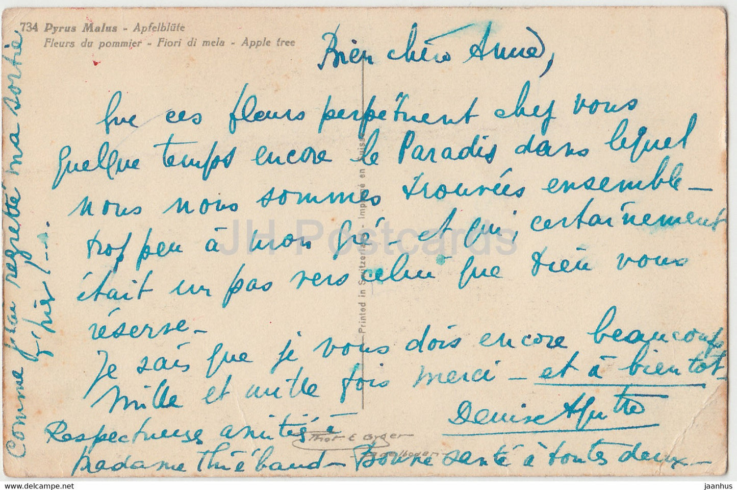 Pyrus Malus - Apfelblute - apple bloom - Fleurs de pommier - old postcard - Germany - used