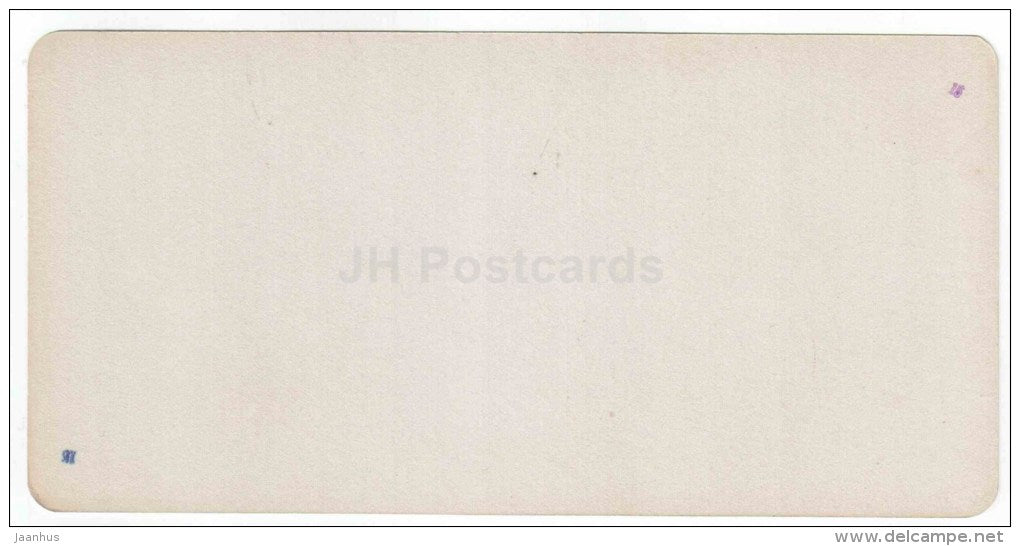 Maria Source - Zheleznovodsk - Caucasus - Russia - Russie - stereo photo - stereoscopique - old photo - JH Postcards