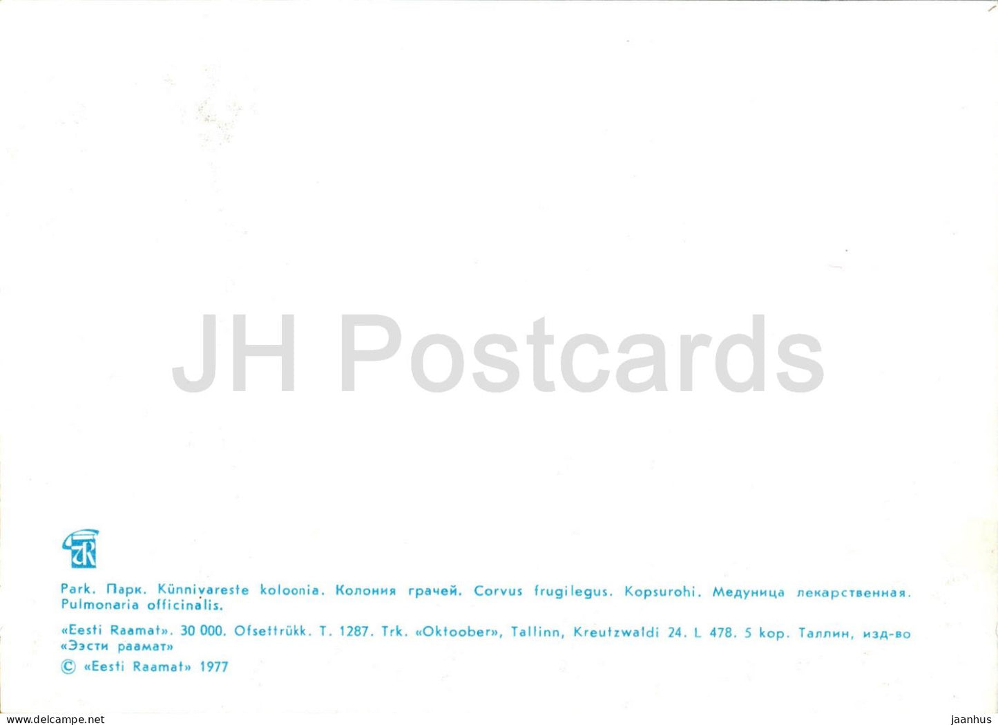 Park - Lungwort - Pulmonaria officinalis - plants - 1977 - Estonia USSR - unused