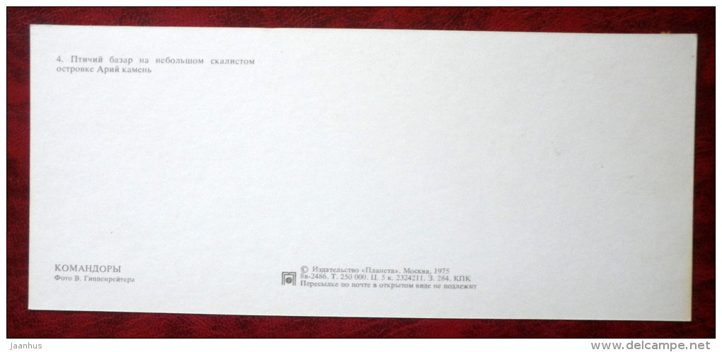 birds - Komandorski Commander islands - 1975 - Russia USSR - unused - JH Postcards