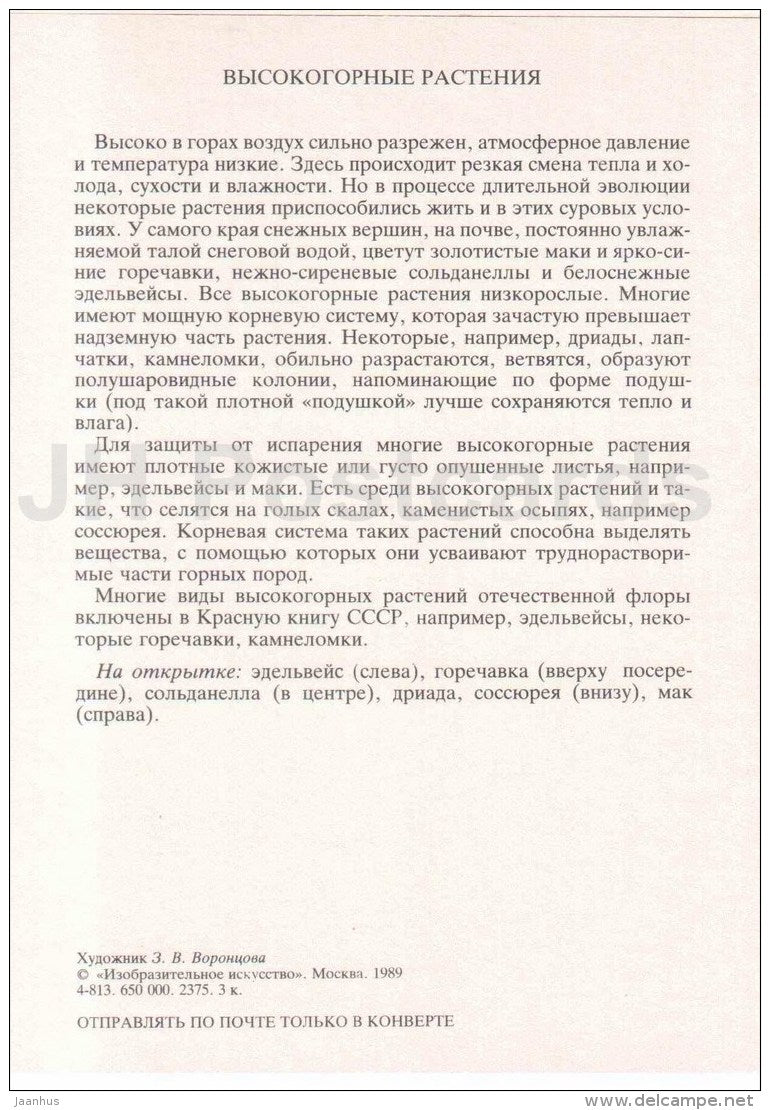 Alpine poppy - soldanella - gentian - edelweiss - Alpine Plants - Amazing Plants - 1989 - Russia USSR - unused - JH Postcards