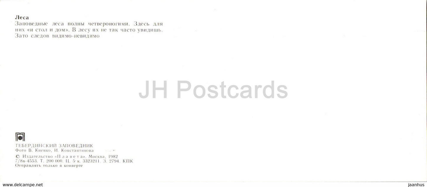 Teberda Nature Reserve - Forests - animals - hare - wild boar - deer - 1982 - Russia USSR - unused