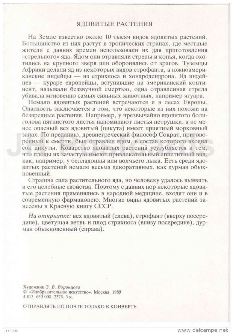 datura - Strychnos - strophanthus - milestones poisonous - Noxious Plants - Amazing Plants - 1989 - Russia USSR - unused - JH Postcards