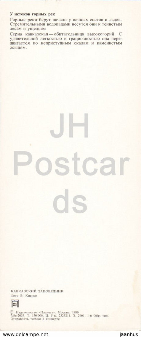 Gämse - Tiere - Kaukasisches Naturreservat - 1980 - Russland UdSSR - unbenutzt