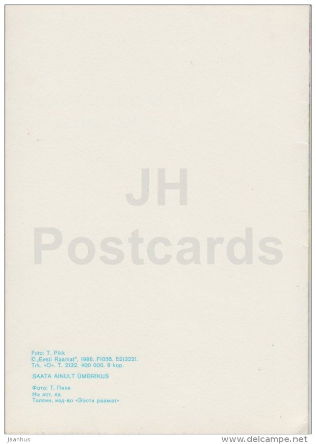 New Year greeting card - 1 - field flowers - corn - 1986 - Estonia USSR - used - JH Postcards