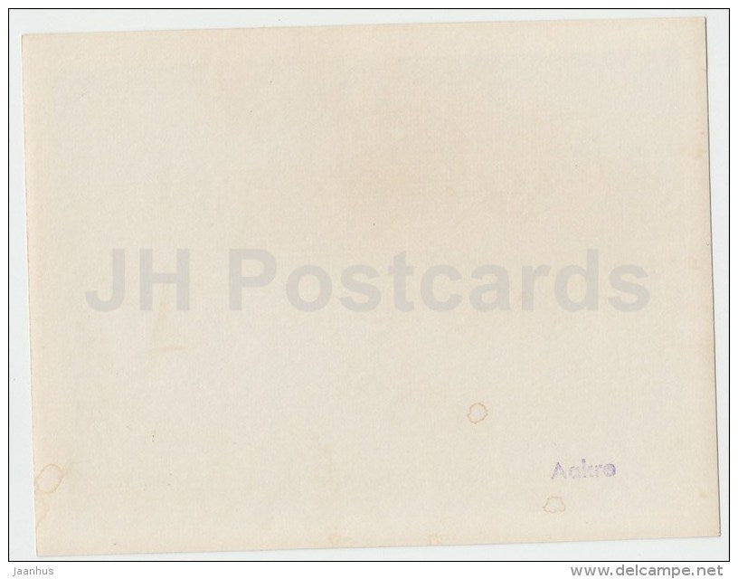 roe deer - photo - Estonia USSR - unused - JH Postcards