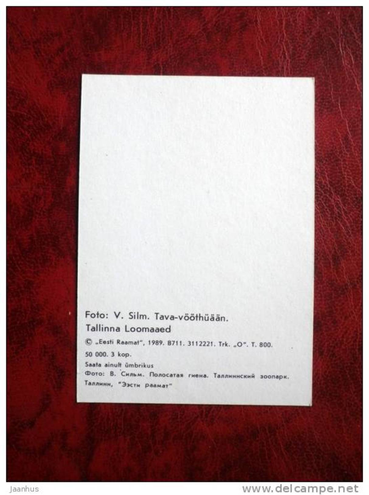 Striped hyena - Tallinn Zoo - mini card - 1989 - Estonia - USSR - unused - JH Postcards
