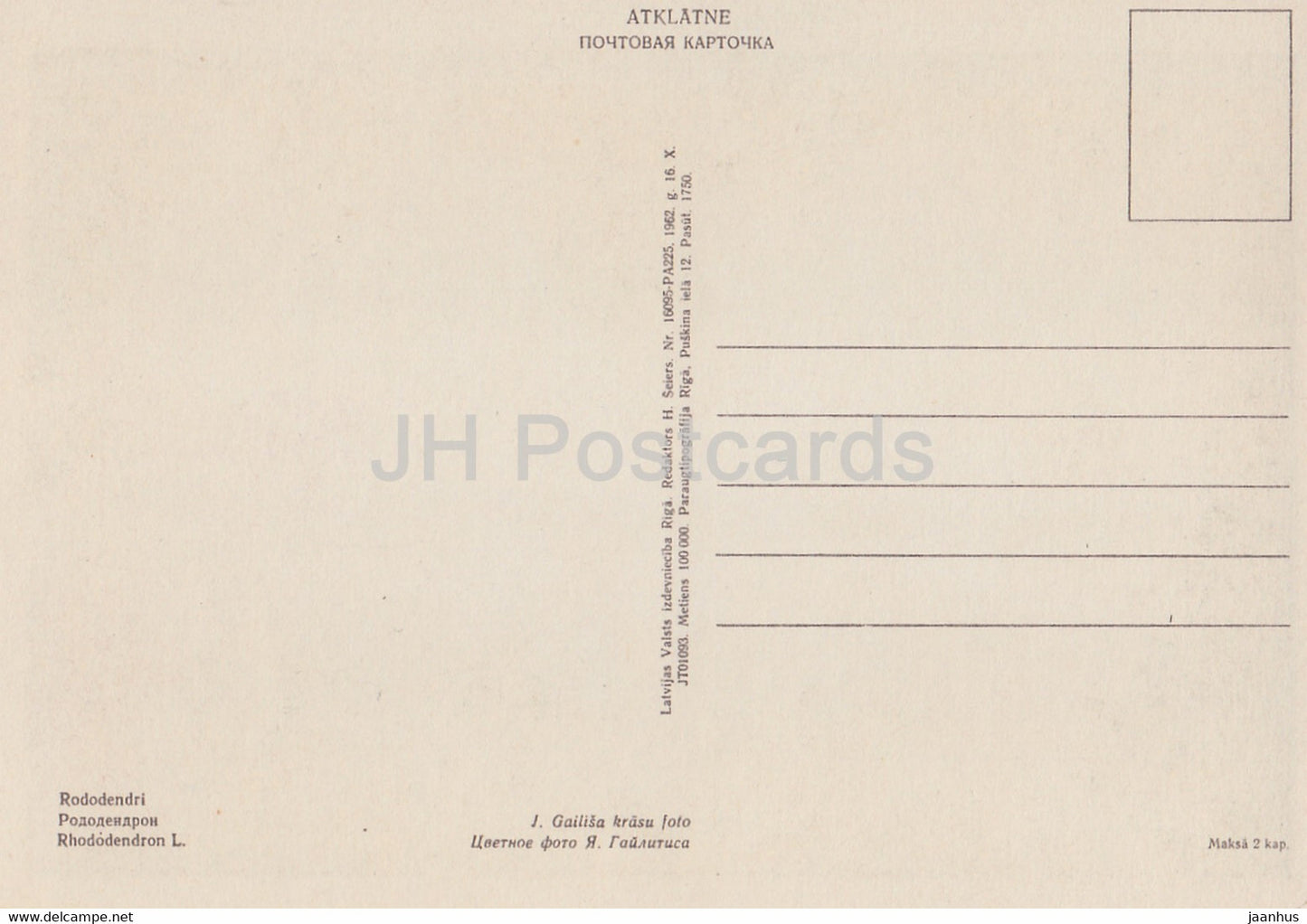 Rhododendron - flowers - plants - 1962 - Latvia USSR - unused