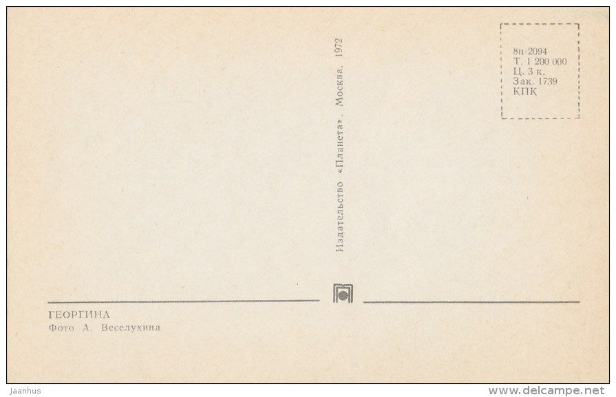 Dahlia - flowers - 1972 - Russia USSR - unused - JH Postcards