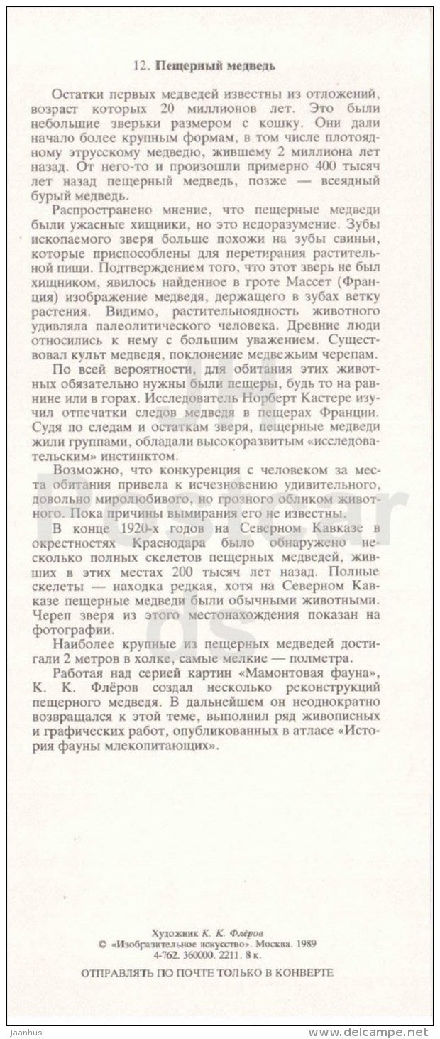 Cave bear - Ursus spelaeus - skull - illustration by Flerov - paleontology - 1989 - Russia USSR - unused - JH Postcards