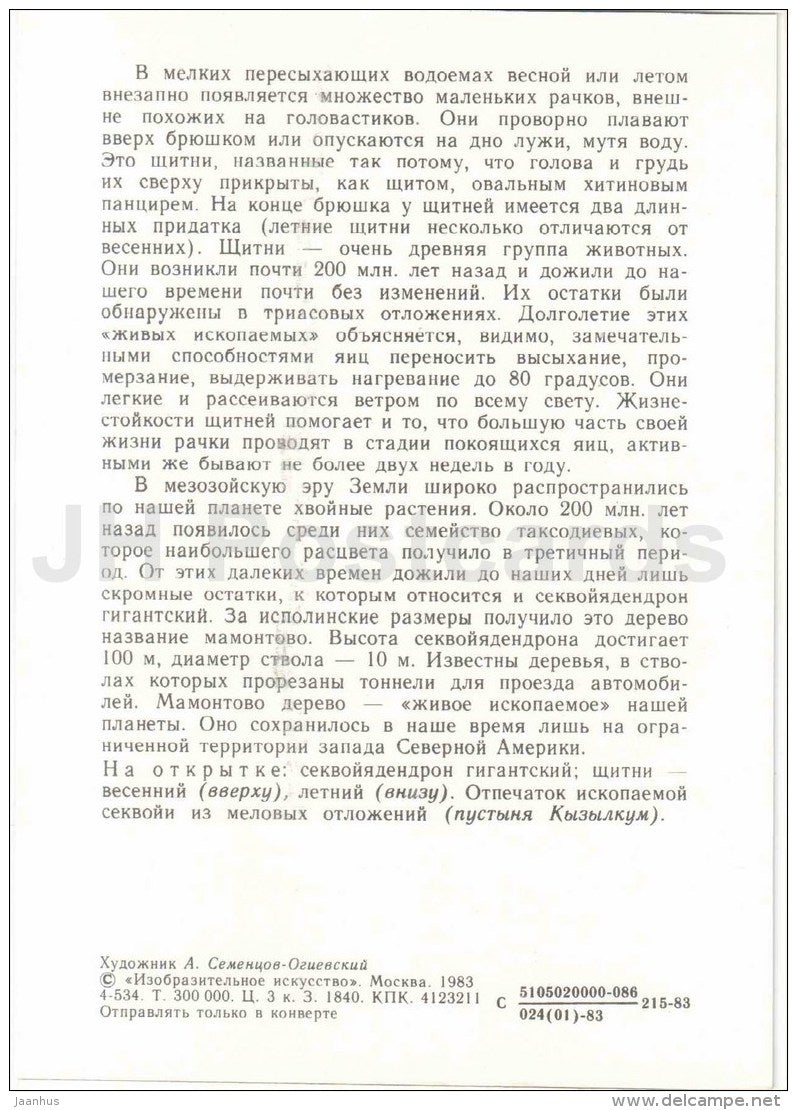 Giant sequoia - Tadpole shrimps - Protected Animals and Plants - 1983 - Russia USSR - unused - JH Postcards