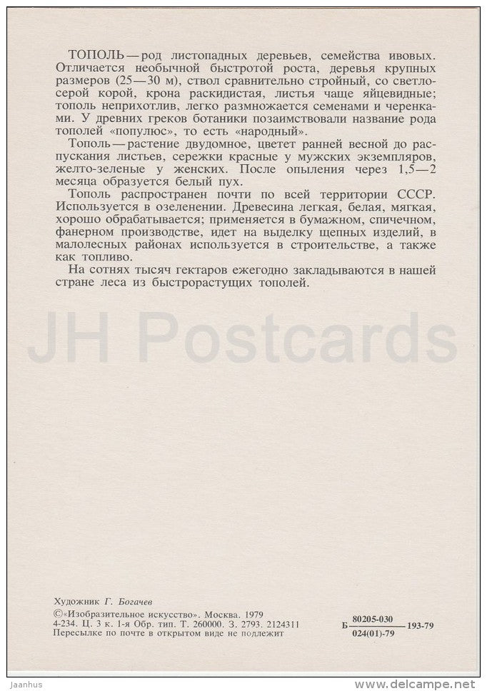 Poplar - Russian Forest - trees - illustration by G. Bogachev - 1979 - Russia USSR - unused - JH Postcards
