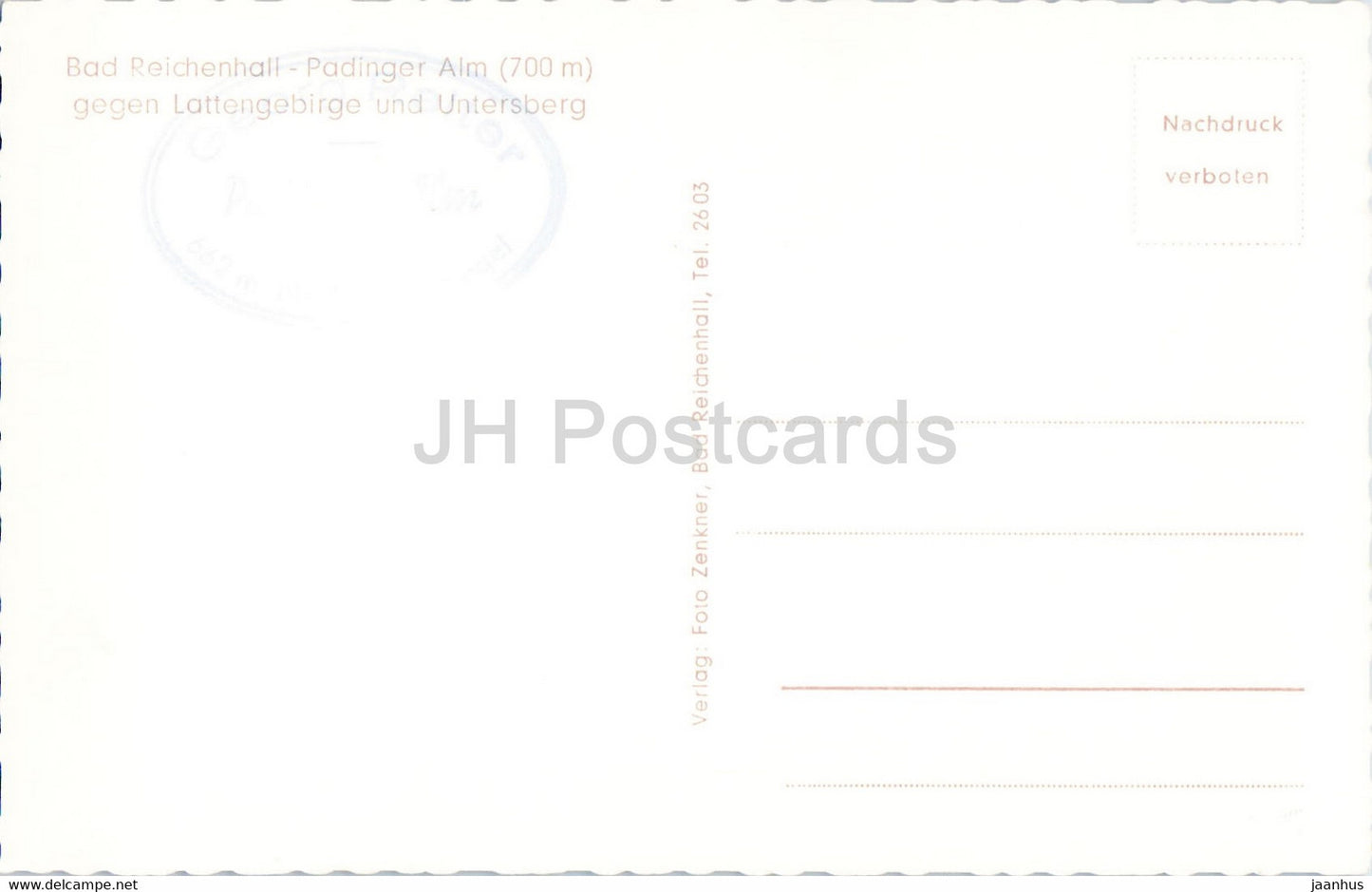 Bad Reichenhall - Padinger Alm gegen Lattengebirge und Untersberg - alte Postkarte - Deutschland - unbenutzt