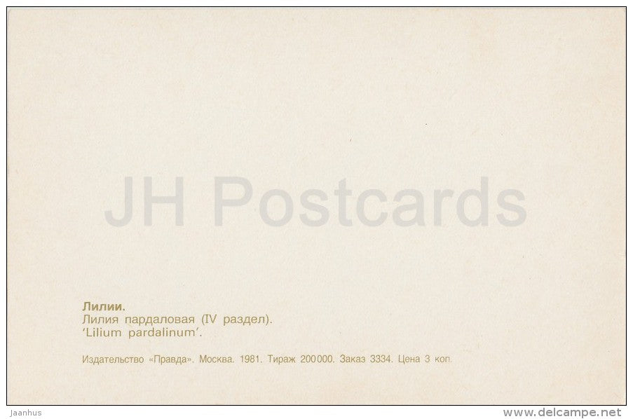 Lilium pardalinum - flowers - Lily - Russia USSR - 1981 - unused - JH Postcards