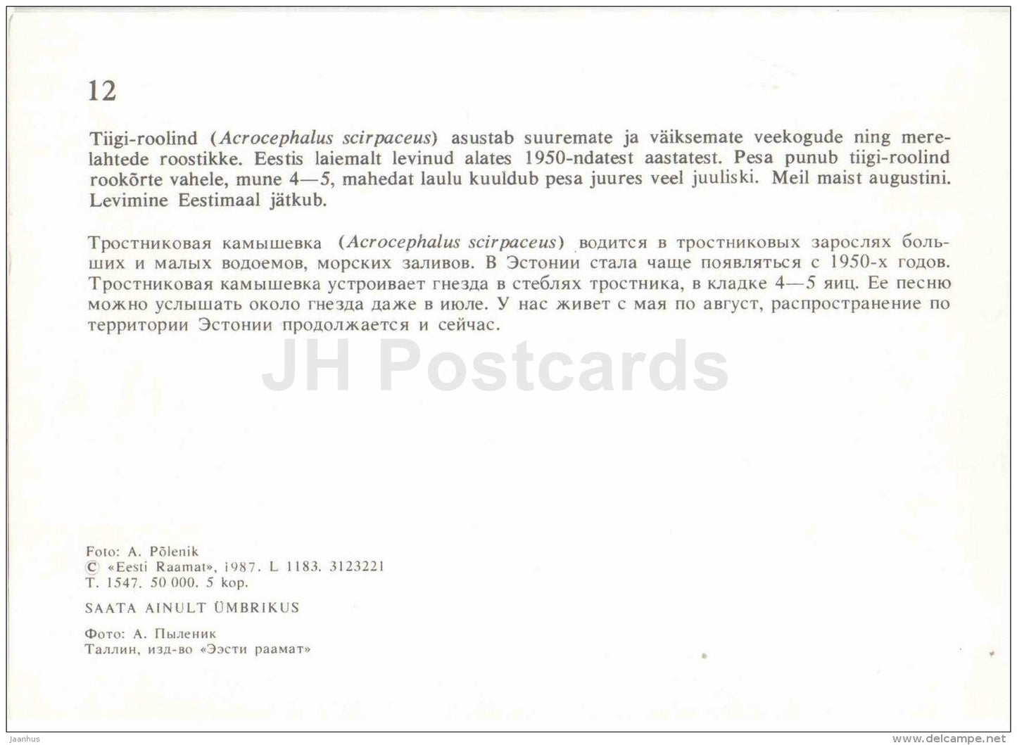 Eurasian reed warbler - Acrocephalus scirpaceus - bird - Estonian Birds - 1987 - Estonia USSR - unused - JH Postcards