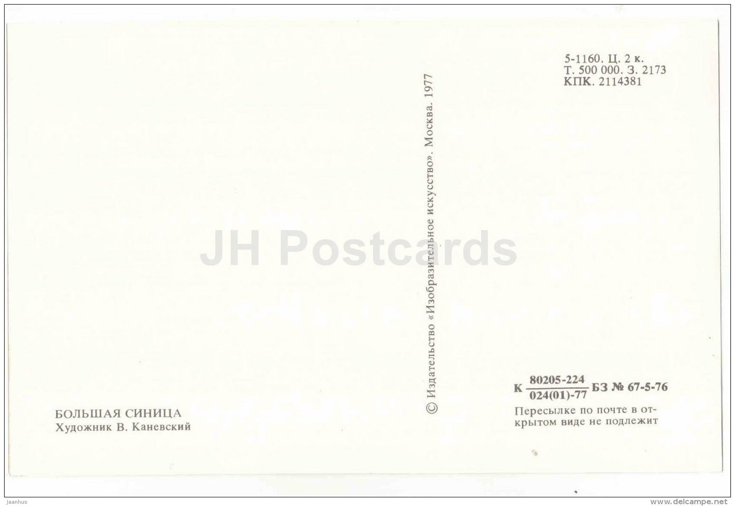 illustration by V. Kanevsky - Great Tit - Parus major - bird - illustration - 1977 - Russia USSR - unused - JH Postcards