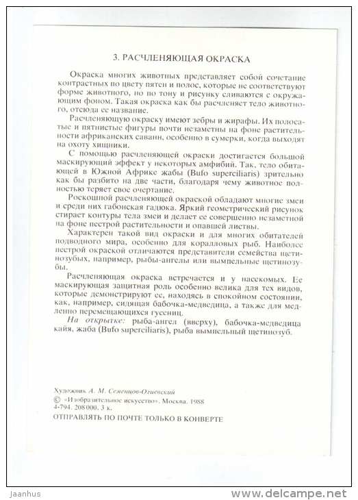 Garden tiger moth - Pomacanthidae - dismember coloring - Animals defend themselves - 1988 - Russia USSR - unused - JH Postcards