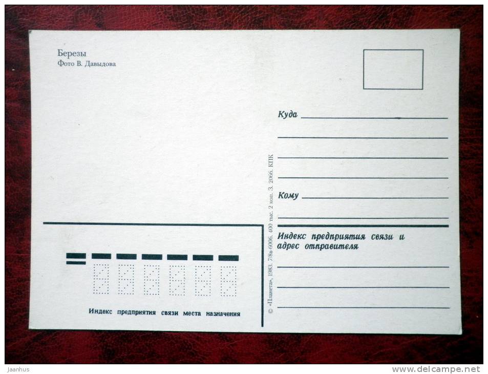 Birches - nature - forest - 1983 - Russia - USSR - unused - JH Postcards