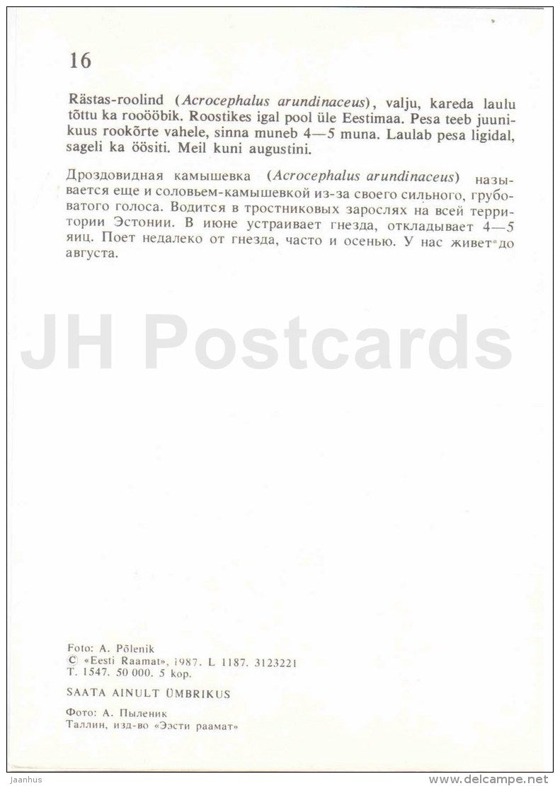 Great reed warbler - Acrocephalus arundinaceus - bird - Estonian Birds - 1987 - Estonia USSR - unused - JH Postcards