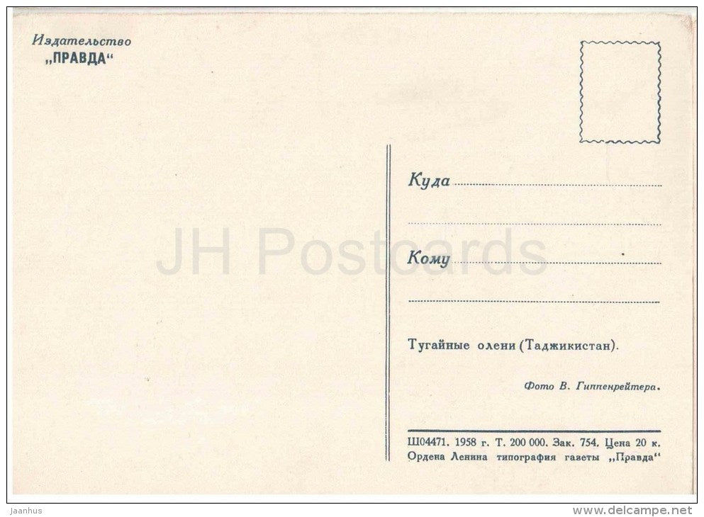 Bactrian deer - Cervus elaphus bactrianus - 1958 - Tajikistan USSR - unused - JH Postcards