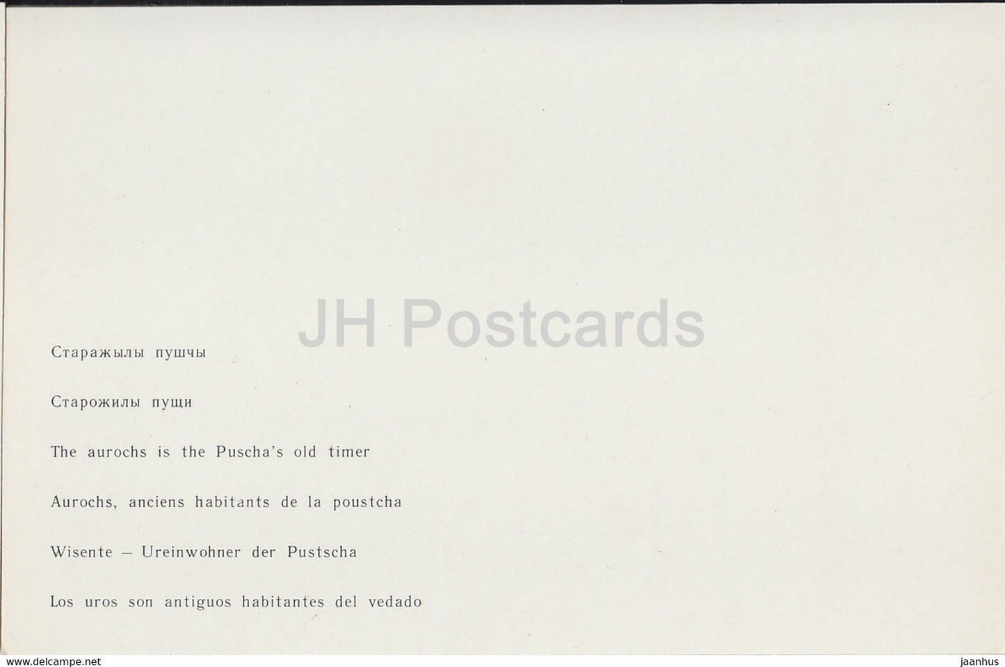 Parc national Belovezhskaya Pushcha - Les Aurochs sont le vieux minuteur de Puscha - 1981 - Berarus URSS - inutilisé