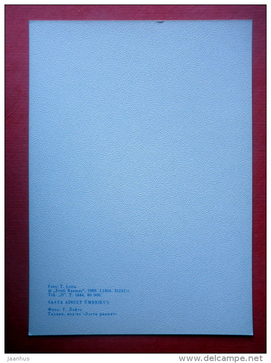 Estonia in Winter - landscape - VII - ice - 1988 - Estonia USSR - unused - JH Postcards