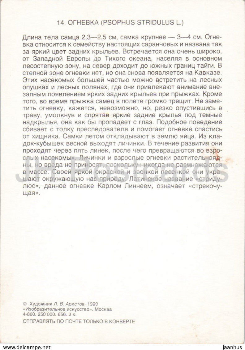 Psophus stridulus - La sauterelle Rattle - Insectes - illustration - 1990 - Russie URSS - inutilisé