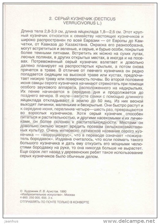 Wart-biter , Decticus verrucivorus - Grasshopper - Cricket - insects - 1990 - Russia USSR - unused - JH Postcards