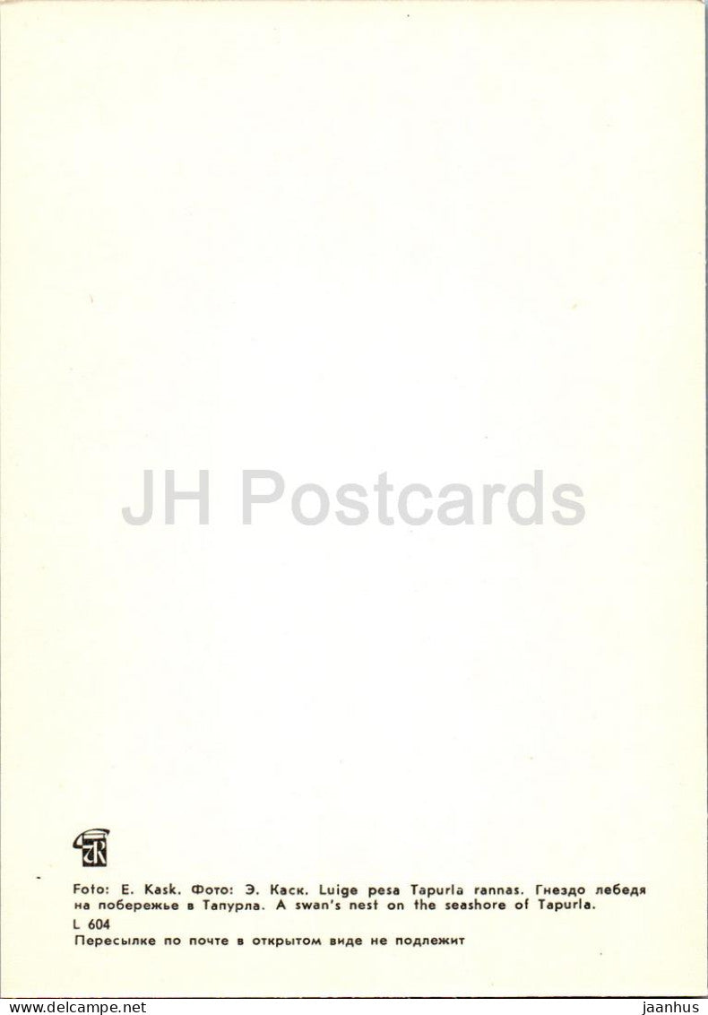 Lahemaa - A swan's nest on the seashore of Tapurla - birds - 1 - 1978 - Estonia USSR - unused
