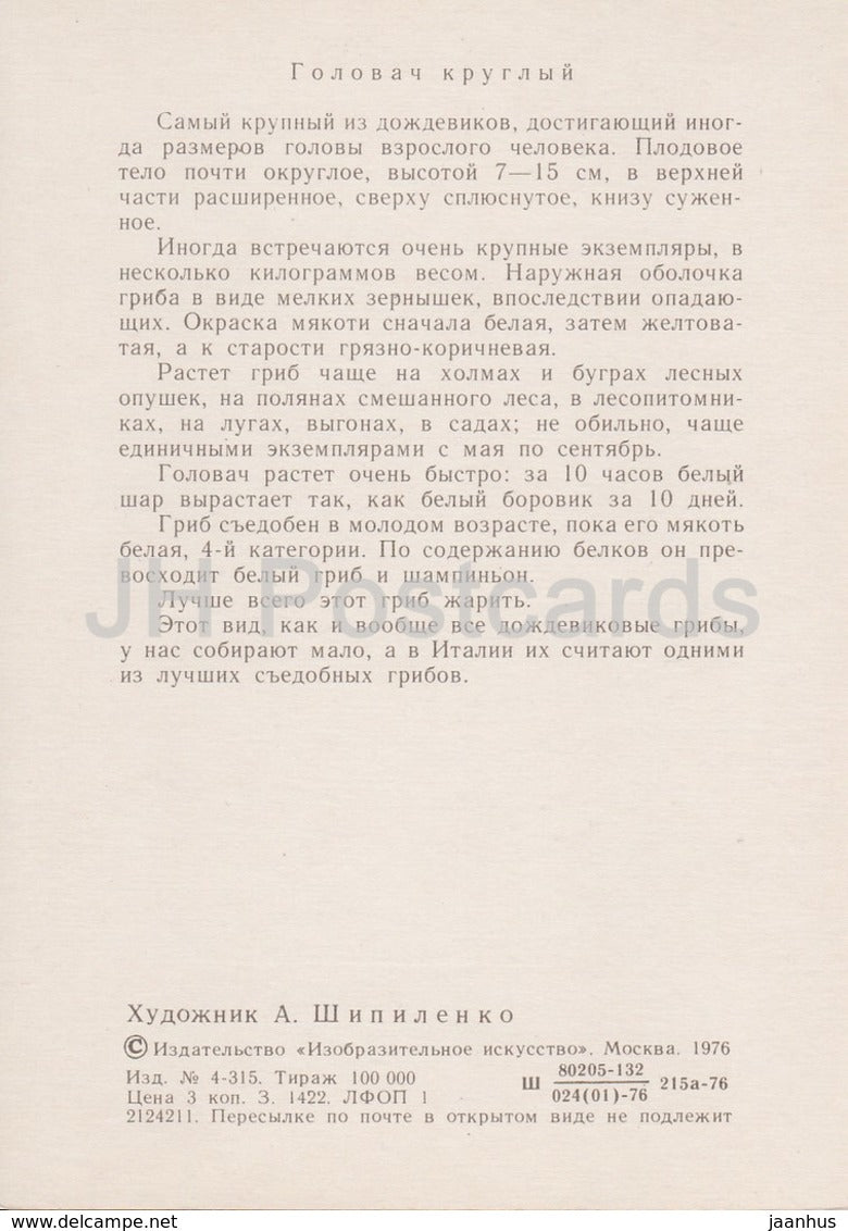 Puffball - Handkea utriformis - illustration by A. Shipilenko - Mushrooms - 1976 - Russia USSR - unused - JH Postcards