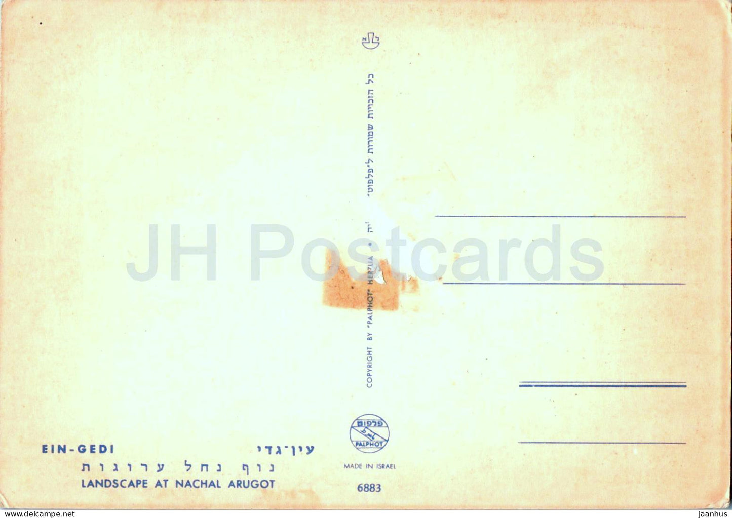 Ein Gedi - Paysage à Nachal Arugot - 6883 - Israël - inutilisé